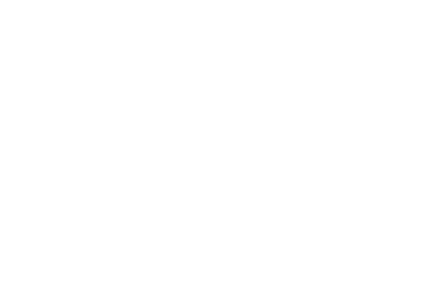 Logo Light